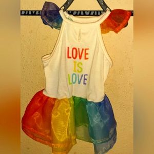 Small Love is Love Rainbow Tulle Doggy Dress